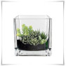 Wazon szklany kwadratowy 10x10 cm / grube szkło - 4