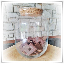 Kaja Glass|Las w słoiku, szklany słoik z korkiem BAŃKA H-22 cm D-17 cm