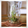 Flakon szklany, lampion  Atena 303 H-28 cm / szkło ekologiczne - 1