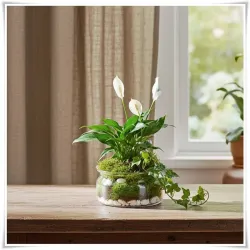 Misa, salaterka, pojemnik eko-szkło 332 G5 H-9 D-16 - 8