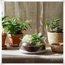 Misa, salaterka, pojemnik eko-szkło 332 G5 H-9 D-16 - 7