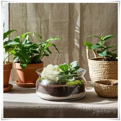 Misa, salaterka, pojemnik eko-szkło 332 G5 H-9 D-16 - 7