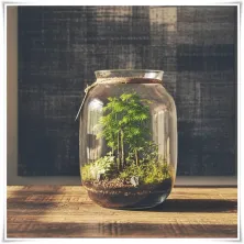 Szklany słoik ozdobny BAŃKA H-32 cm D-25 cm - 4