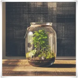 Szklany słoik ozdobny BAŃKA H-32 cm D-25 cm - 4