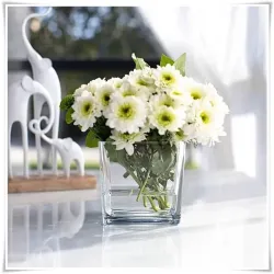 Wazon szklany kwadratowy 12x12 cm / grube szkło - 5