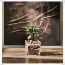 Wazon szklany kwadratowy 12x12 cm / grube szkło - 8