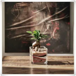 Wazon szklany kwadratowy 12x12 cm / grube szkło - 8