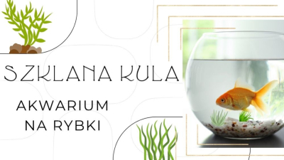 Wazon Szklana Kula na Rybki: Twoje Magiczne Akwarium w Miniaturze